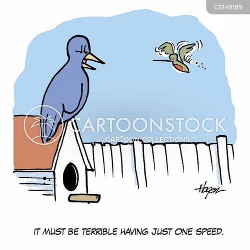 Featured image of post Hummingbird Cartoon Image