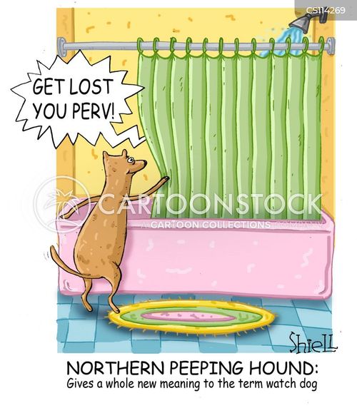 Funny Creeper Pictures