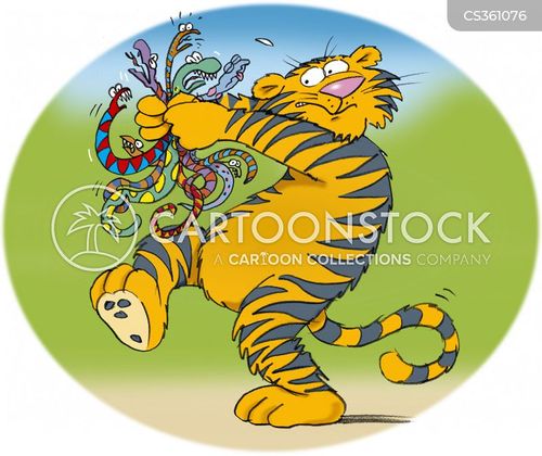 Wildcat Cartoons And Comics Funny Pictures From Cartoonstock Cartoon cat cat cartoon wild wild cat wild cartoon cute animal symbol icon character sketch sweet adorable wildlife element background species lovely funny nature creature decoration card fun. wildcat cartoons and comics funny pictures from cartoonstock