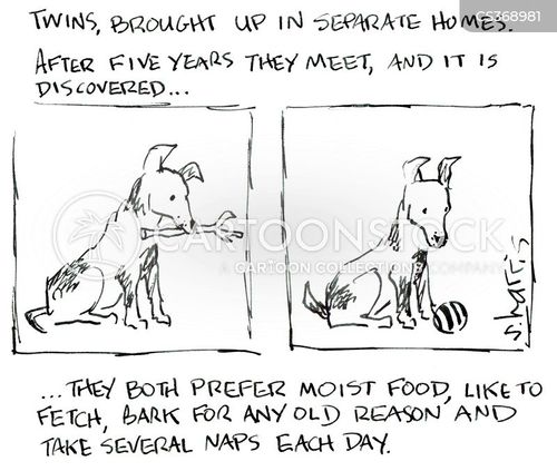 Are Puppy Litters Twins