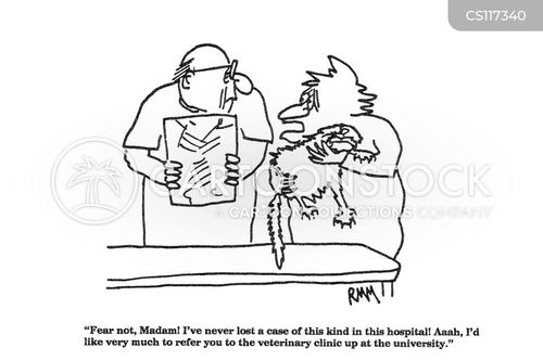 Vet School Cartoons and Comics - funny pictures from CartoonStock