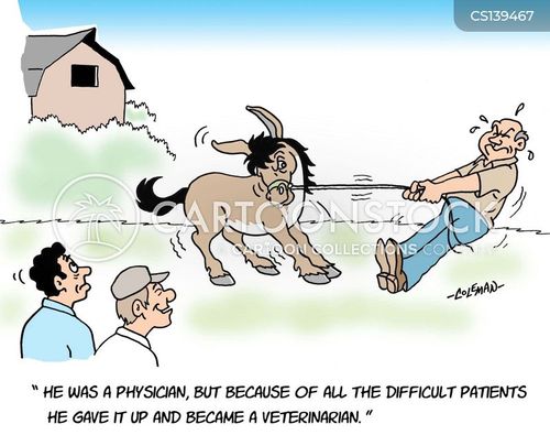 animals-veterinarian-veterinary_sciences-vets-veterinary_surgeons-mds-rcln365_low.jpg