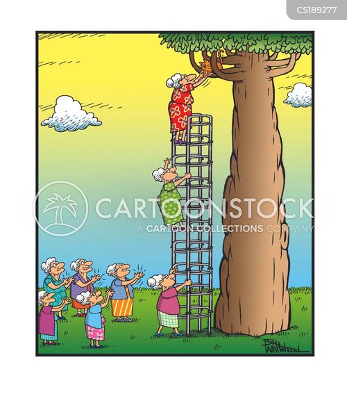 Zimmer Frame Cartoons and Comics funny pictures from CartoonStock