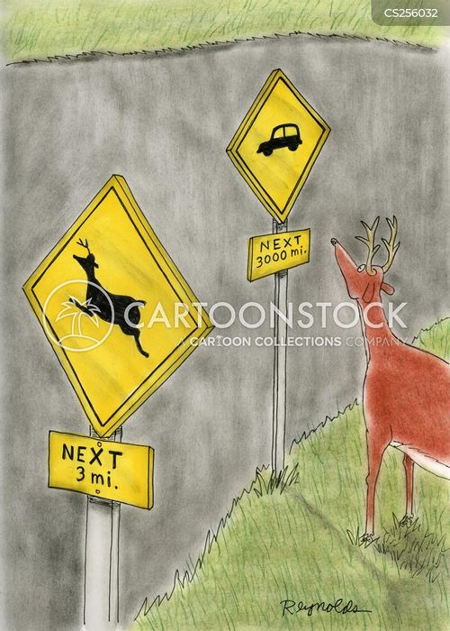 Hit By A Car Cartoons and Comics funny pictures from CartoonStock