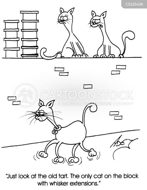 Cats Whiskers Cartoons and Comics funny pictures from CartoonStock