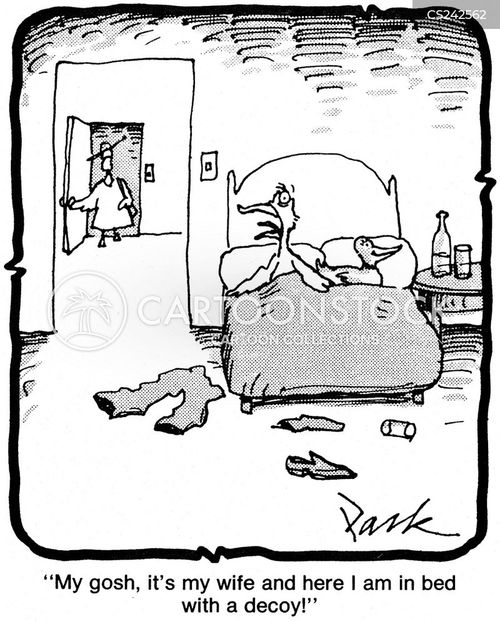 Duck Decoy Cartoons and Comics funny pictures from CartoonStock