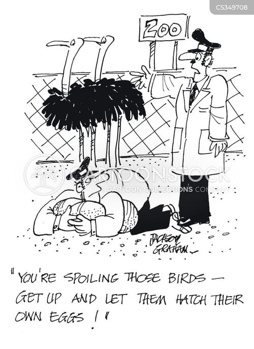 Ostrich Egg Cartoons and Comics funny pictures from CartoonStock