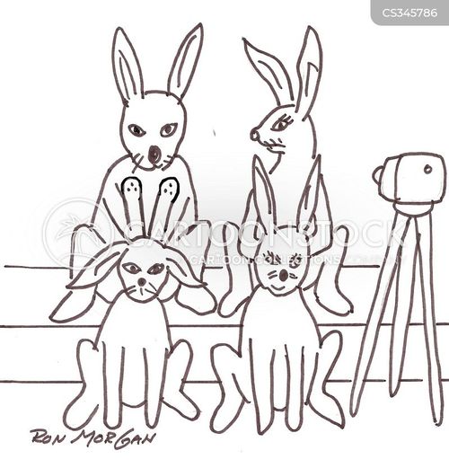 Cartoon Geriatric Rabbit Rabbit Family Photo Cartoons and Comics - funny pictures from CartoonStock