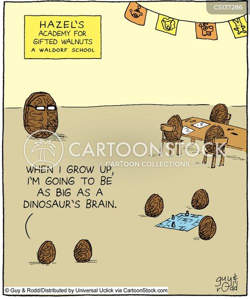 Walnut Cartoons and Comics funny pictures from CartoonStock