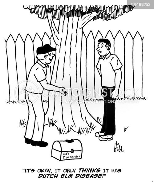 Tree Surgery Cartoons and Comics funny pictures from CartoonStock