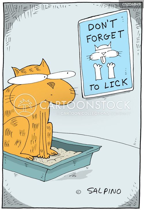 Litter Box Cartoons and Comics funny pictures from CartoonStock