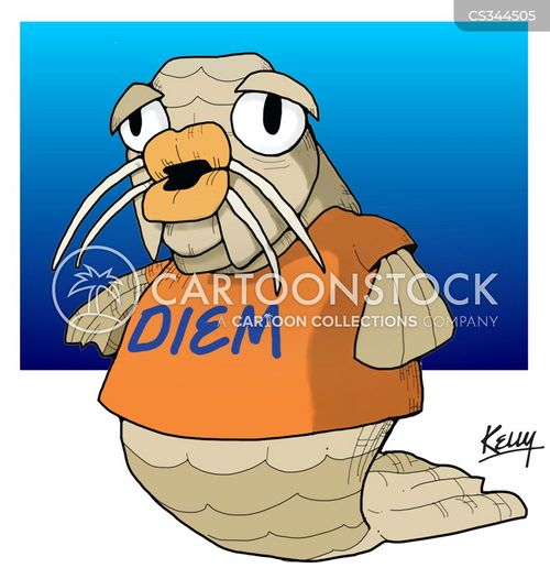 Sweat à Capuche "Carp Diem" - Humour Pêche Et Jeu De Mots - Coupe Classique - 241 G - Parfait Pour Les Pêcheurs Et Les Amateurs De Blagues