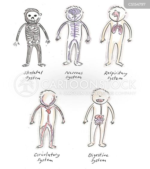 Human Anatomy Cartoons And Comics Funny Pictures From CartoonStock Human Anatomy Cartoons And Comics Funny Pictures From CartoonStock