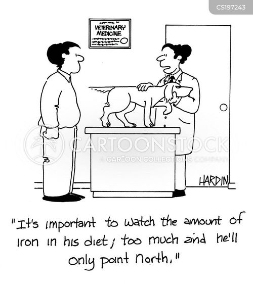 Pedigree Dog Cartoons and Comics funny pictures from CartoonStock