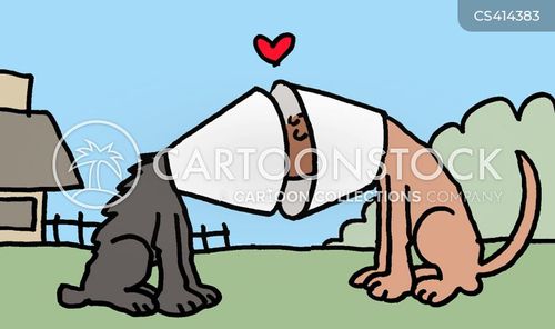 dogs for amazon cone picture, funny, Cones Dog Cones cartoons, Dog cartoon, Dog Dog Cones