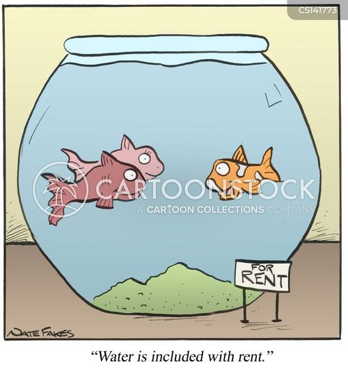 Rental Apartment Cartoons and Comics funny pictures from CartoonStock