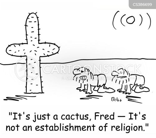 What is an establishment of religion