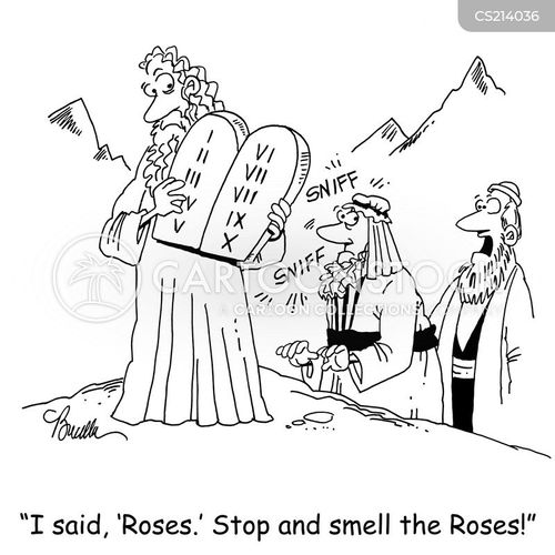 Stop And Smell The Roses Cartoons and Comics funny pictures from