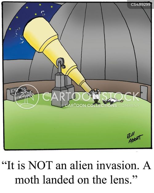 Insect Invasion Cartoons and Comics - funny pictures from CartoonStock