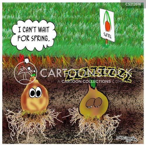 Tulip Cartoons and Comics funny pictures from CartoonStock