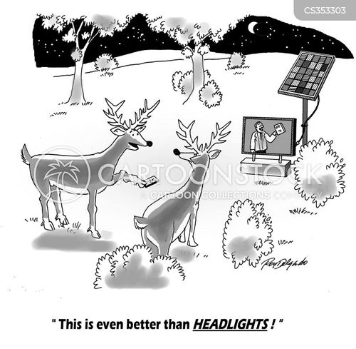 Headlight Cartoons and Comics funny pictures from CartoonStock