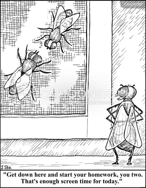 Window Bug Net Cartoon Insect Screen Cartoons and Comics - funny pictures from CartoonStock