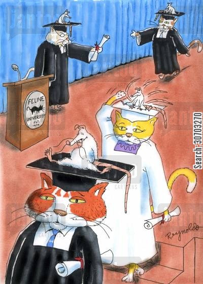 Commencement speech picture