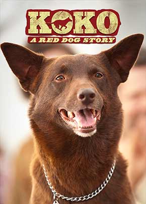 Koko: A Red Dog Story