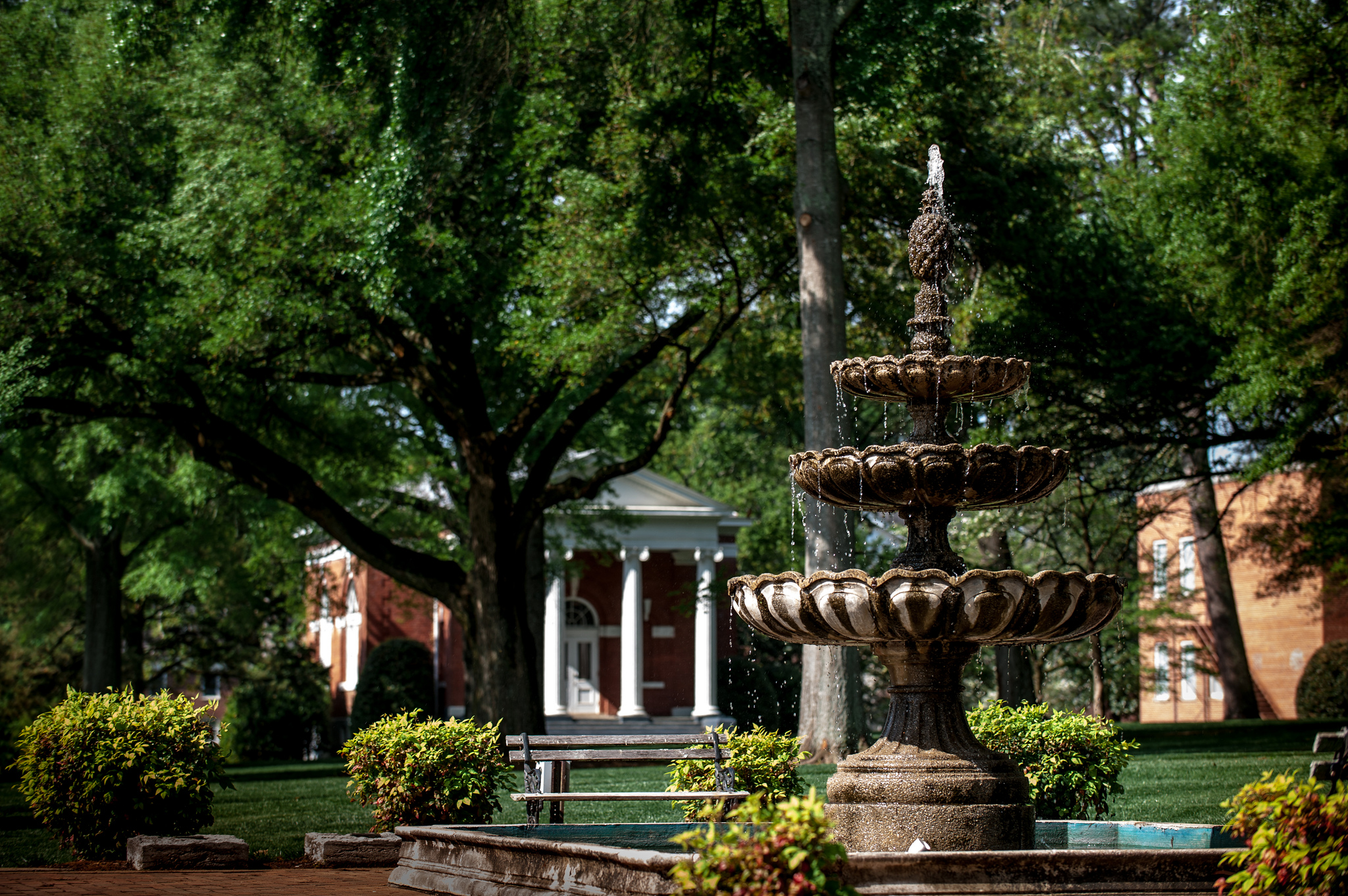 Fountain by the Library