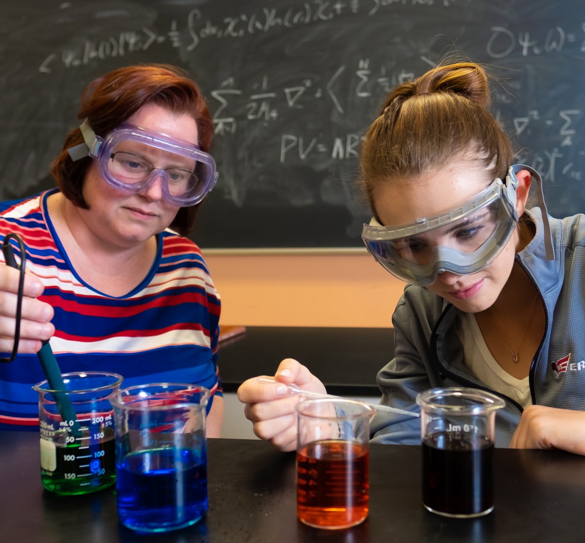 Interested in majoring in Chemistry?