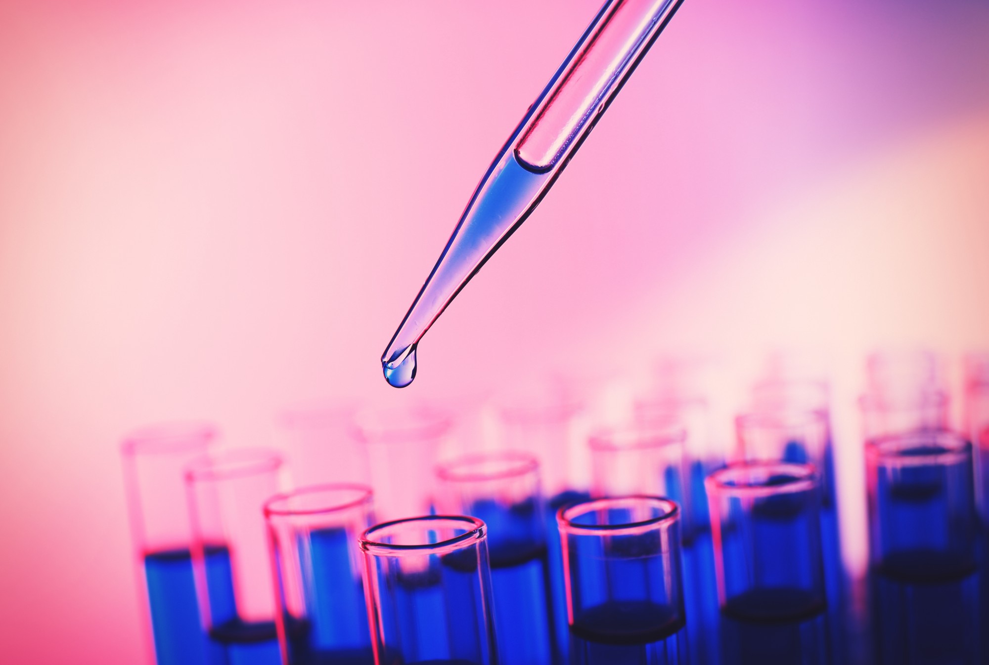 elm-pg-billboard-form shutterstock_254340859