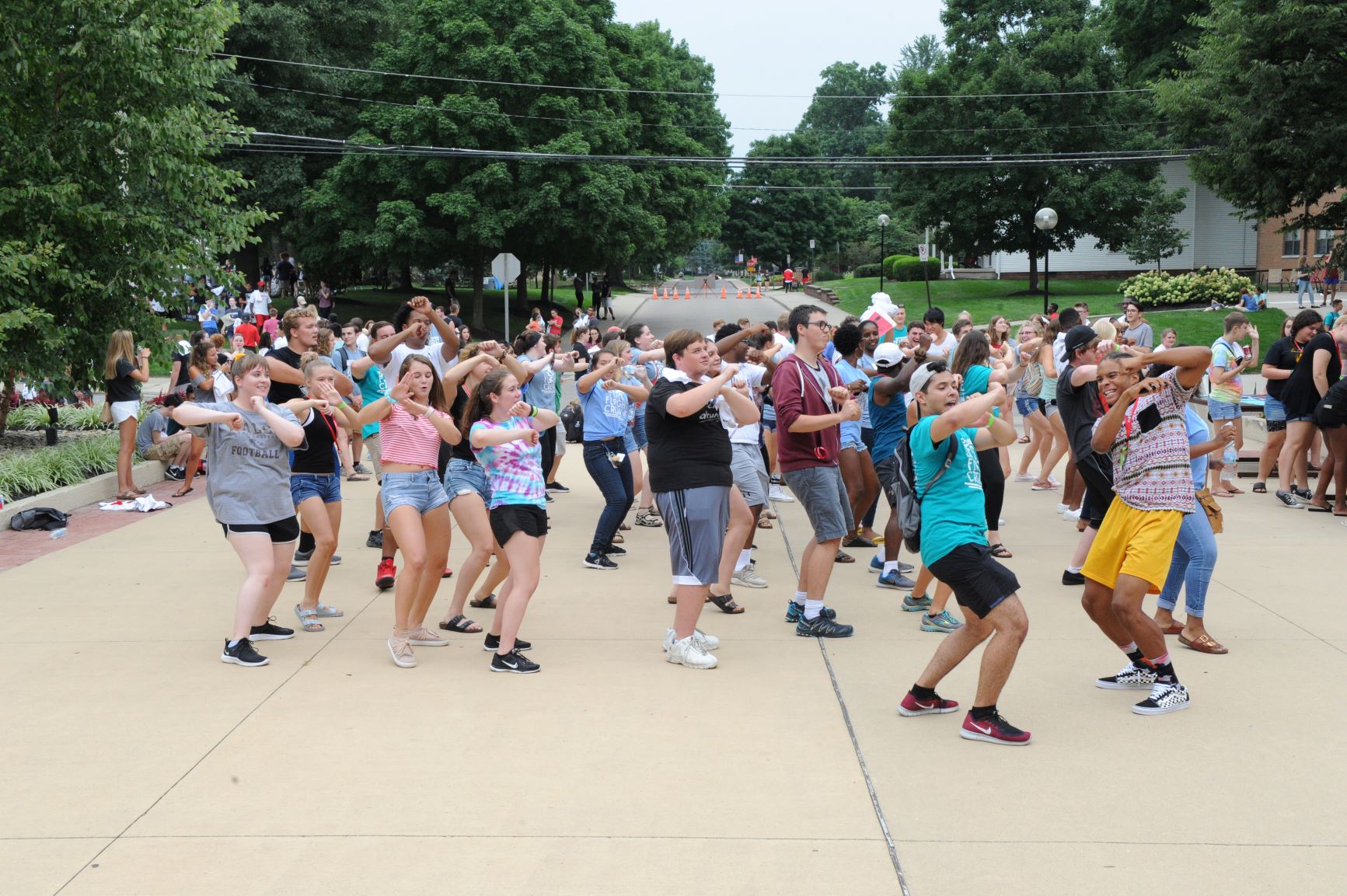 elm-pg-billboard-form-centered 30204650168_059ab85aee_o