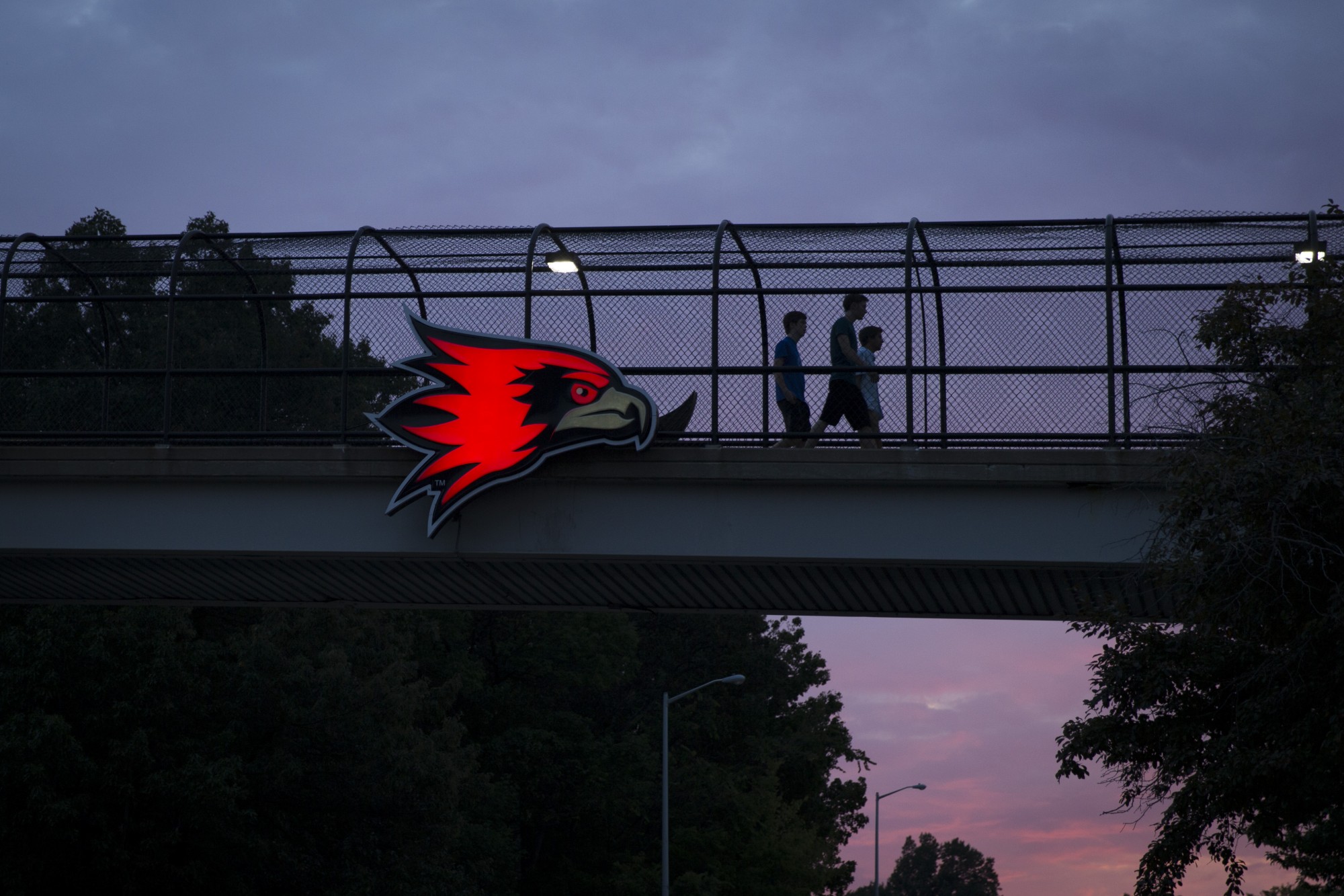 elm-pg-cta 2017-CL-General-ShowMeCenterPedestrianBridge-MP-0818-006