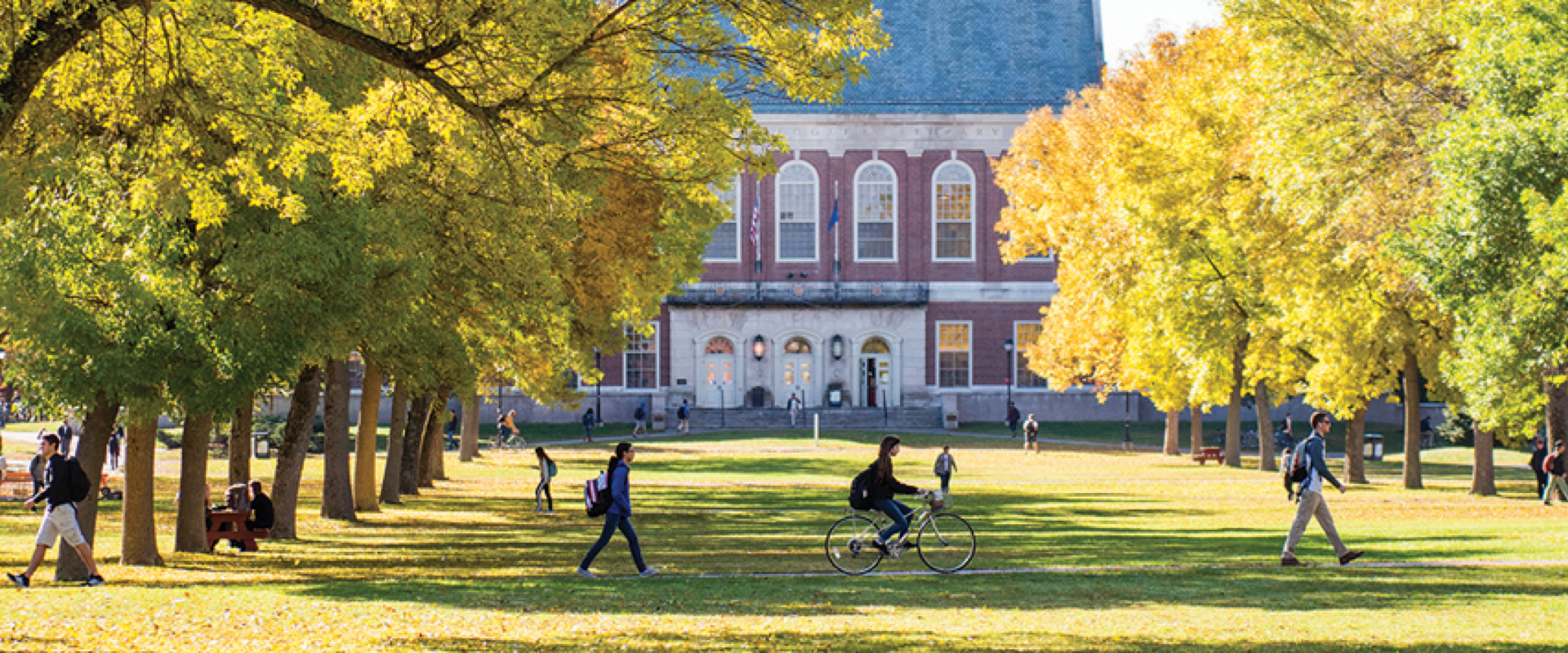 elm-pg-billboard-form-centered mne_image_wide_4