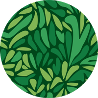 Bali Destination circles pattern.png