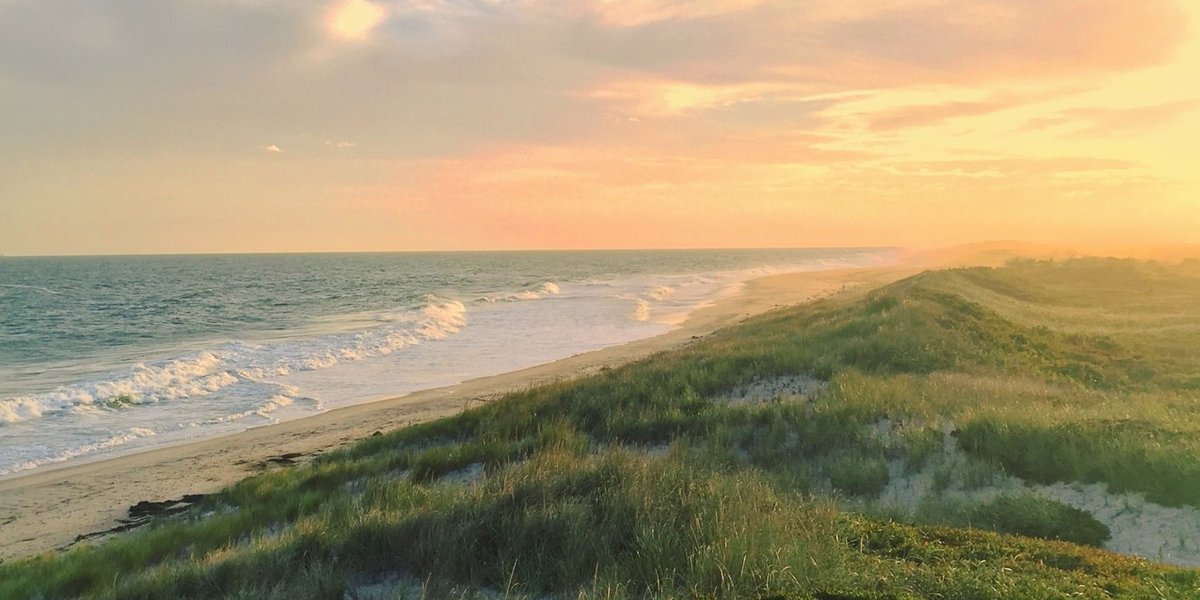 Globestrutter Bellport, Suffolk County