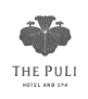 Puli logo-17.png