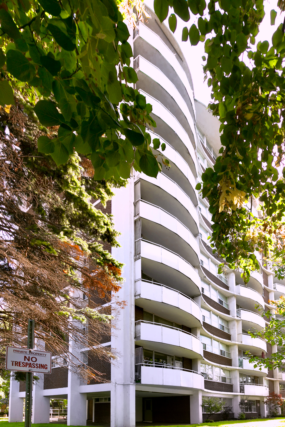 21 Maynard Ave, Toronto, ON M6K 2Z8 — photo 2