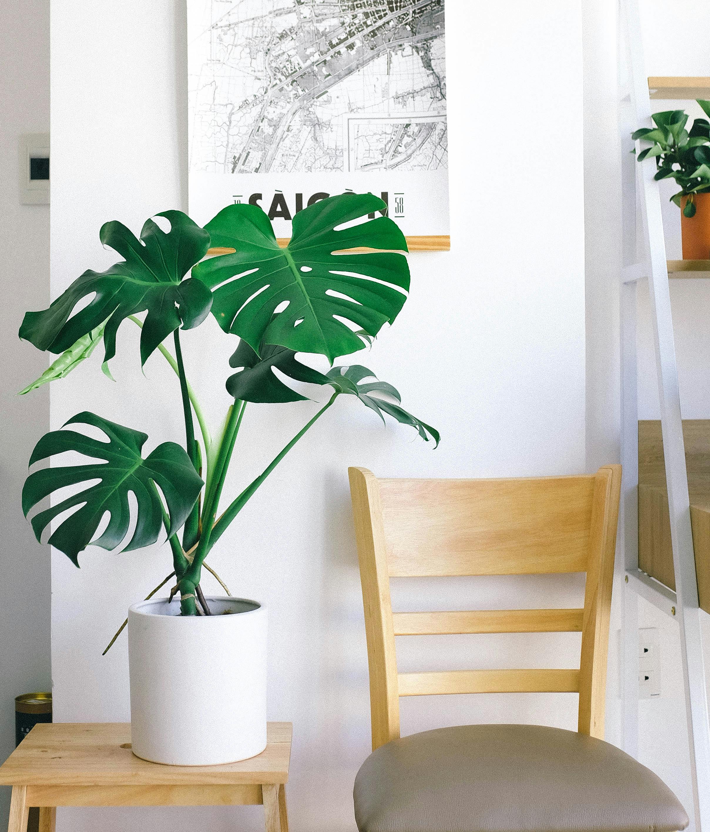 Decoration Tips Image