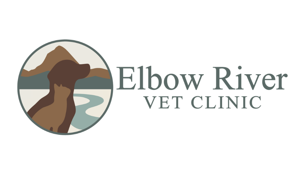 Elbow River Vet Clinic