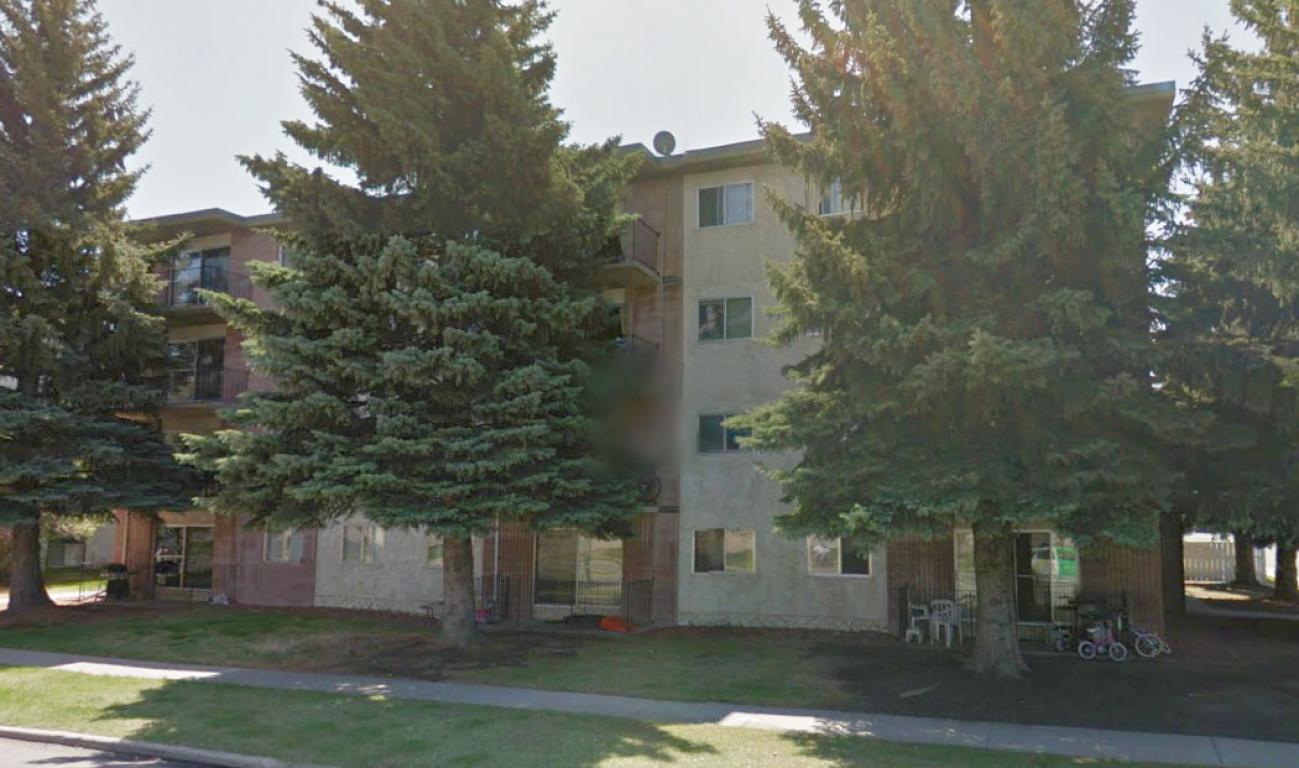 Evergreen Terrace Avenue Living