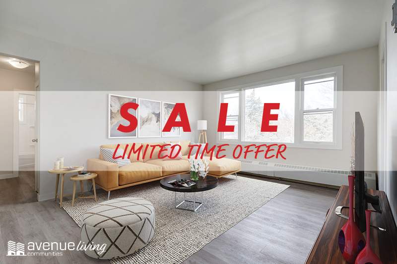 Lakeview Apartments Avenue Living Communities