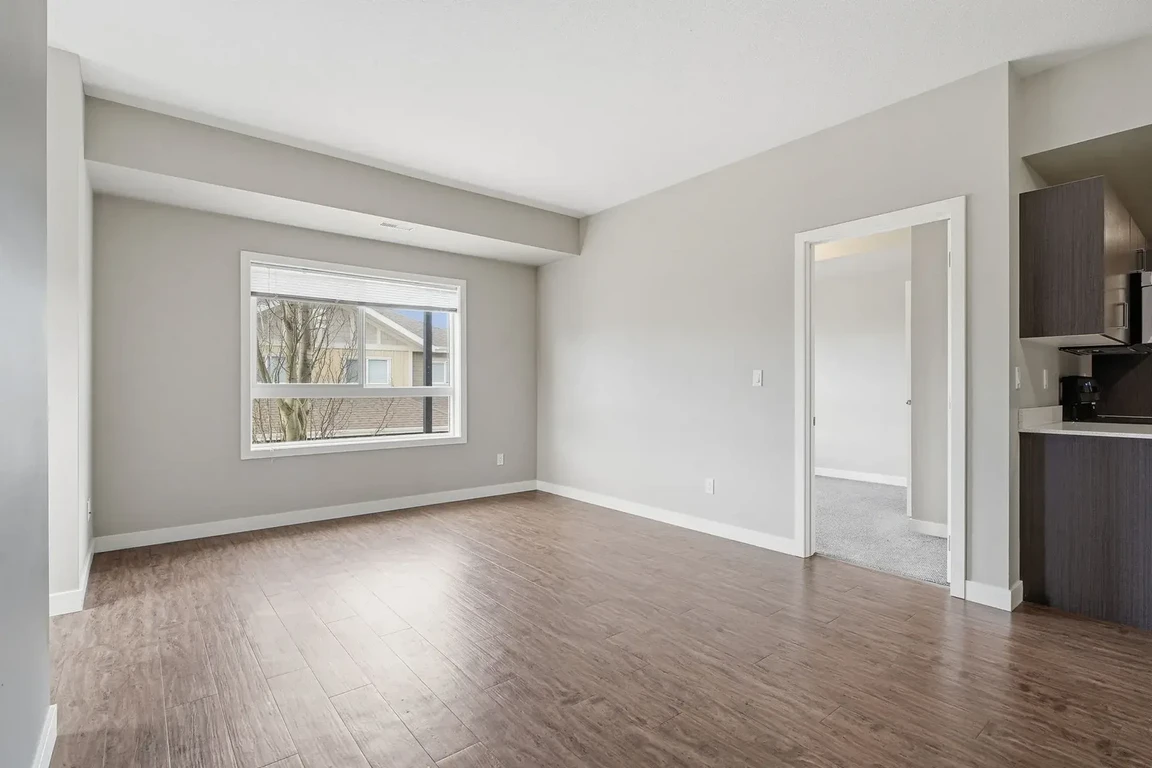 Gallery Photos