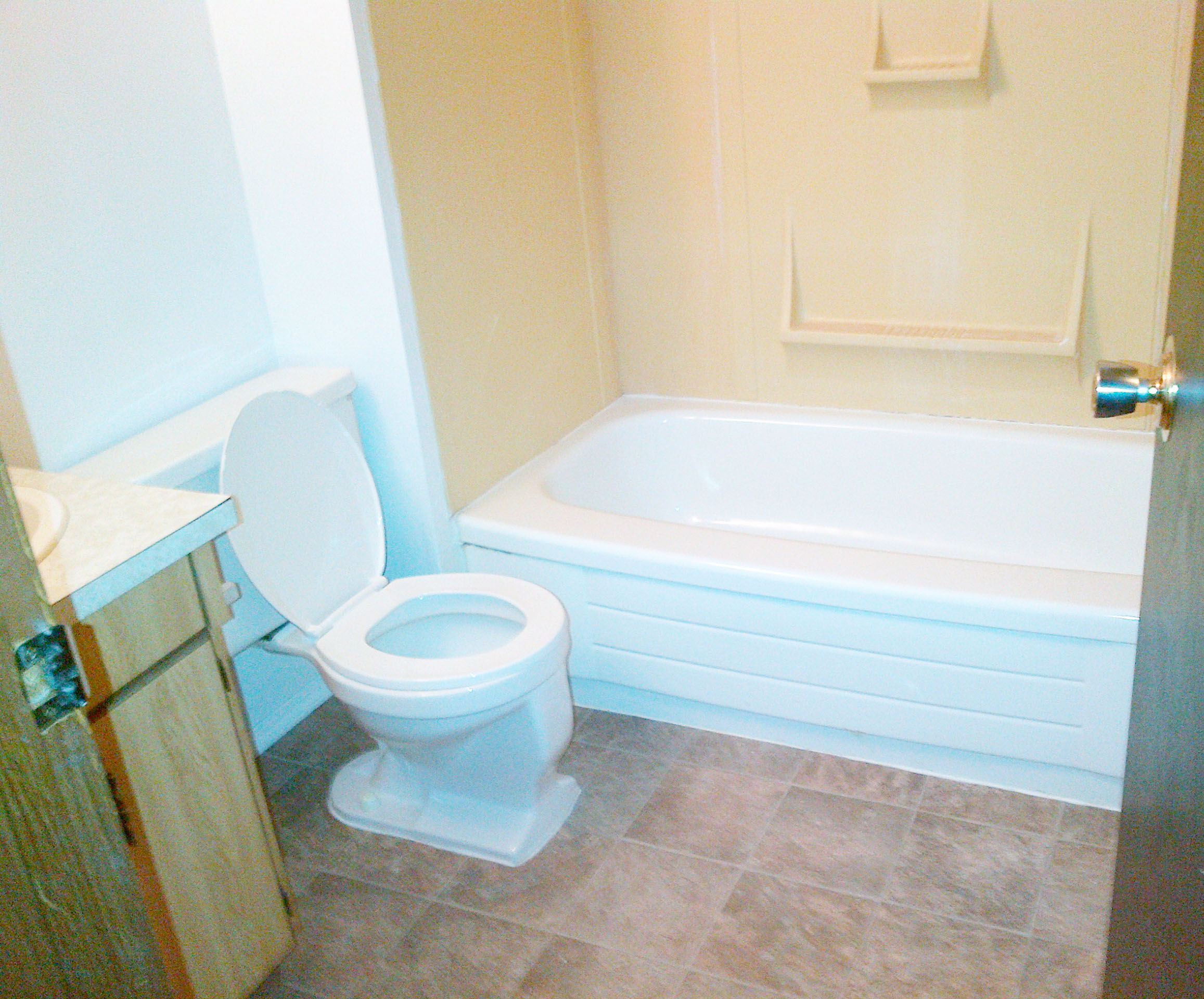 Spruce View Apartments Avenue Living Communities