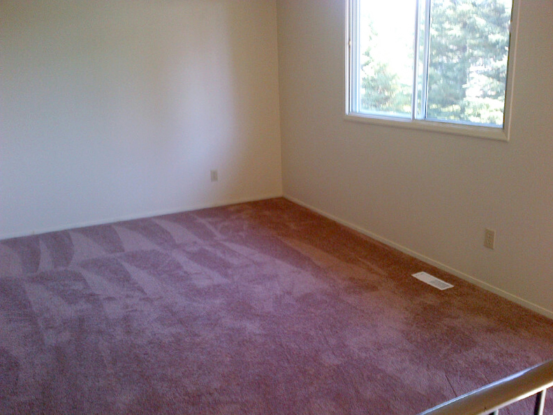 Spruce View Apartments Avenue Living Communities