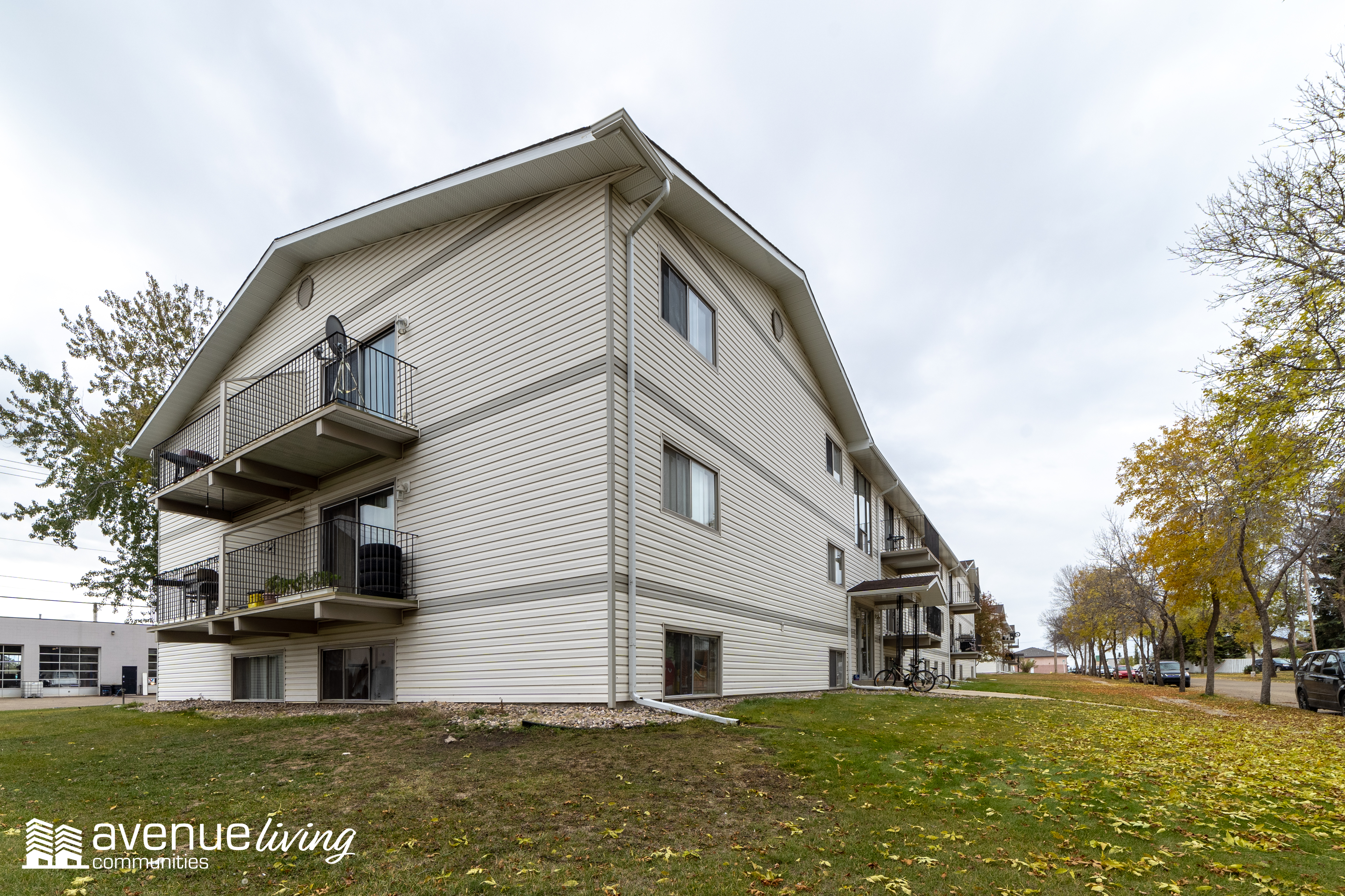 Willows Apartments Avenue Living Communities