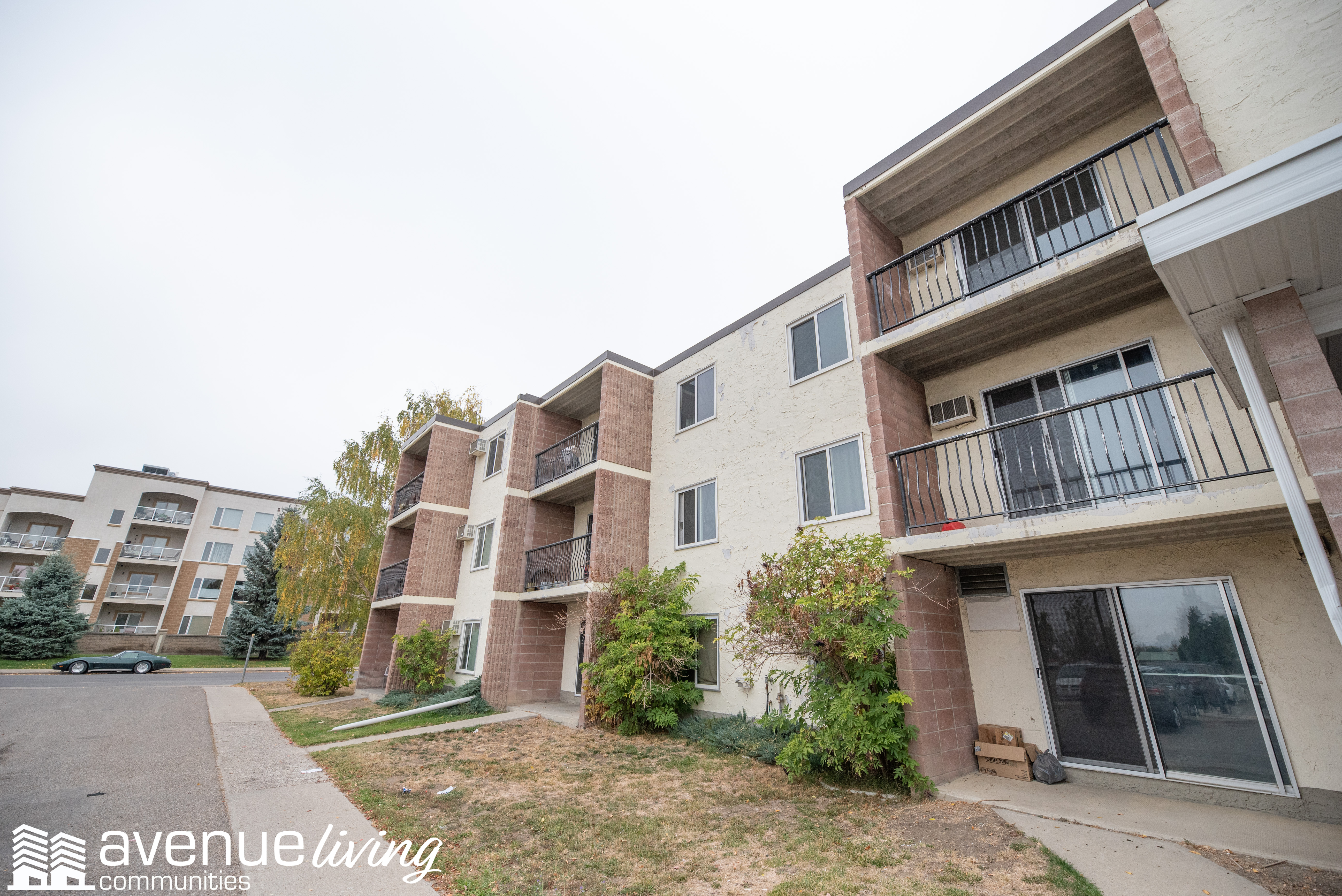 Palm Road Apartments Avenue Living Communities