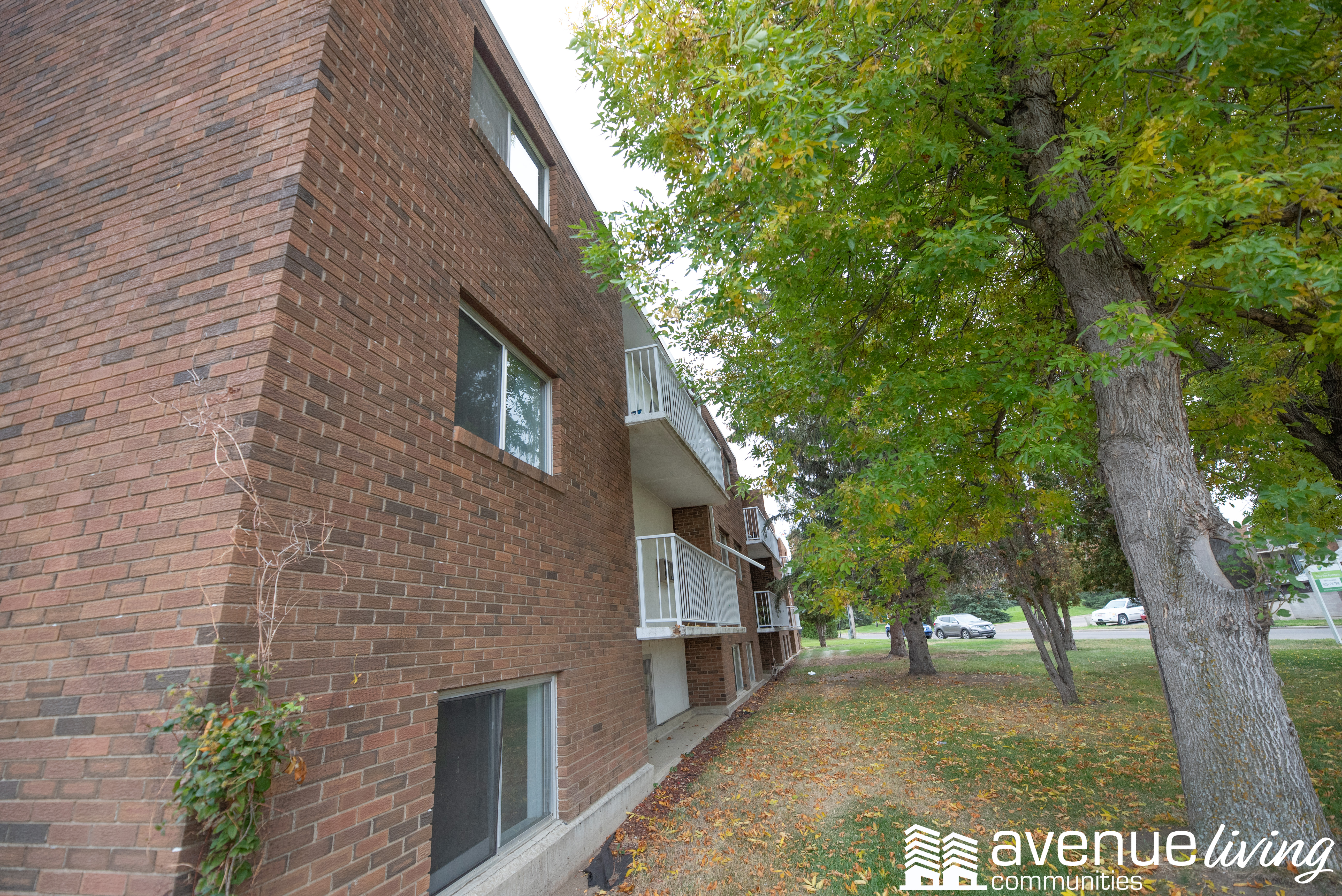 Valleyview Apartments Avenue Living Communities