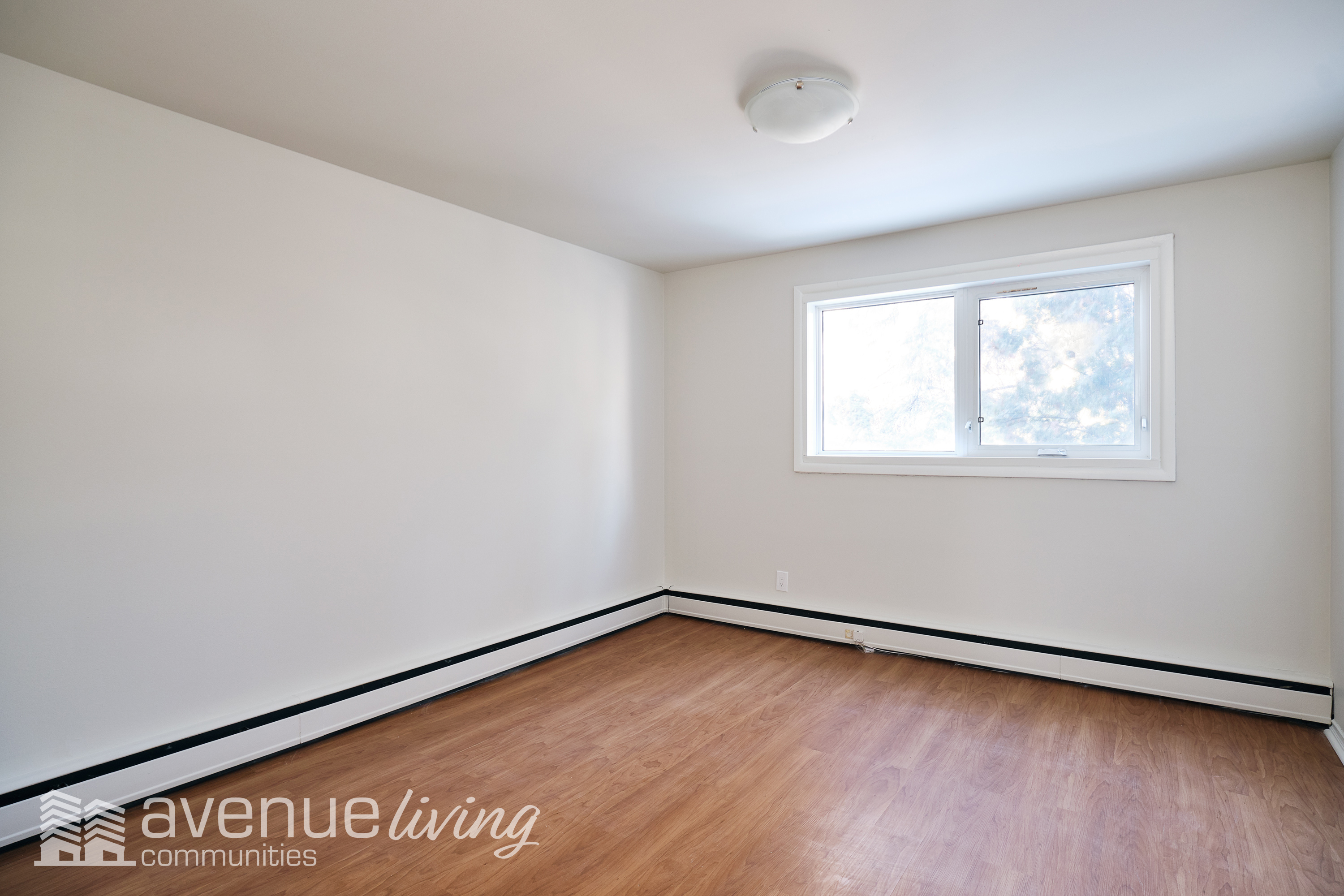 Westwood Apartments Avenue Living Communities