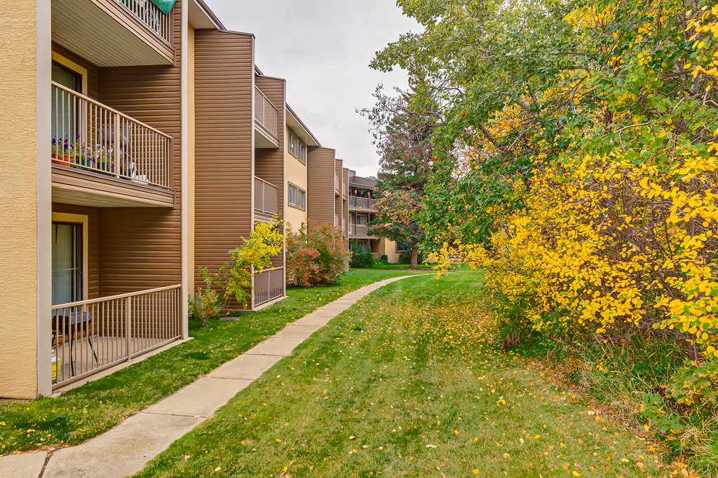 Highwood Apartments Red Deer Apartments for Rent Avenue Living